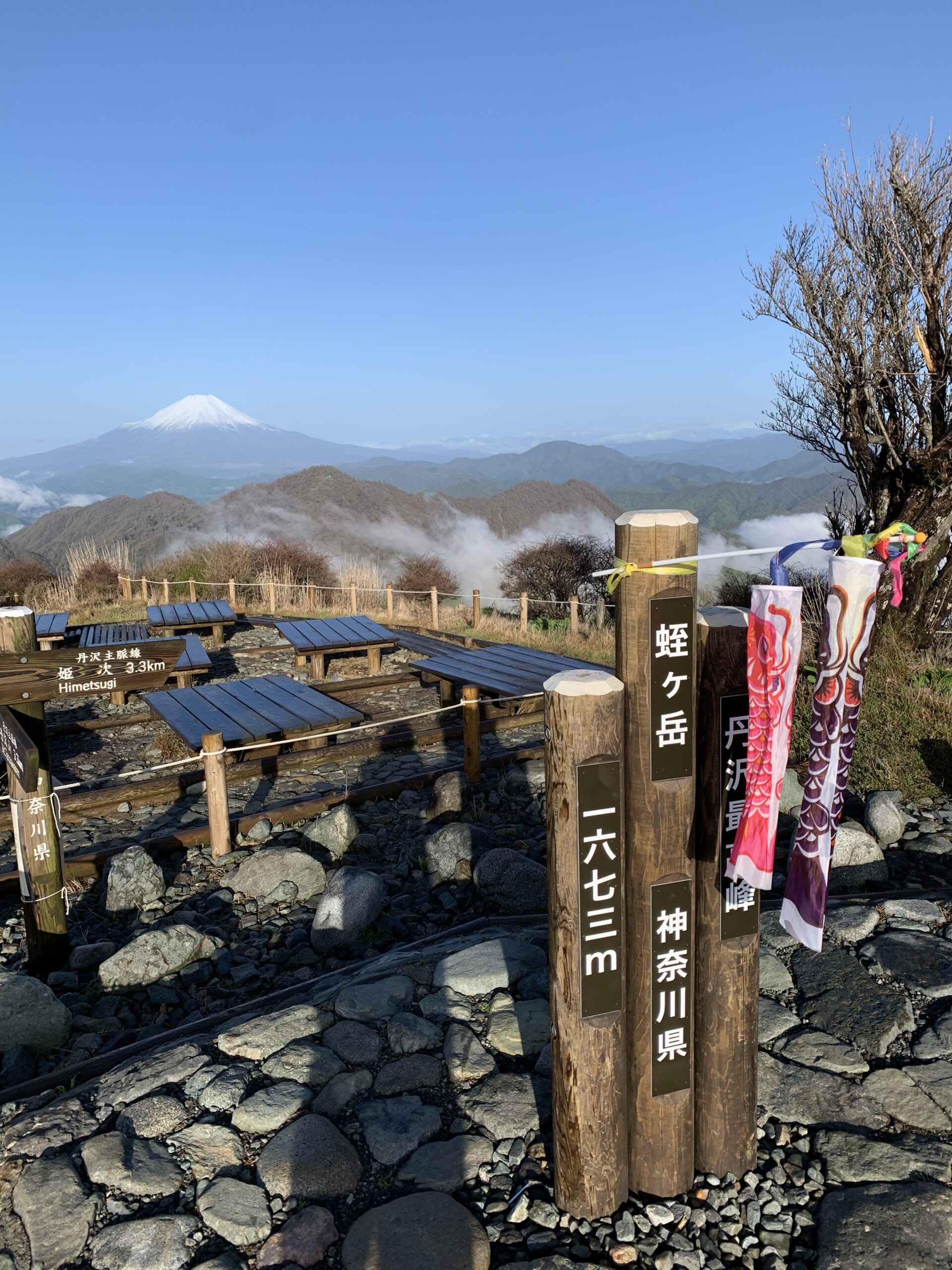 山歩2025-05-06 丹沢(塔ノ岳、丹沢山,蛭ヶ岳、檜洞丸)