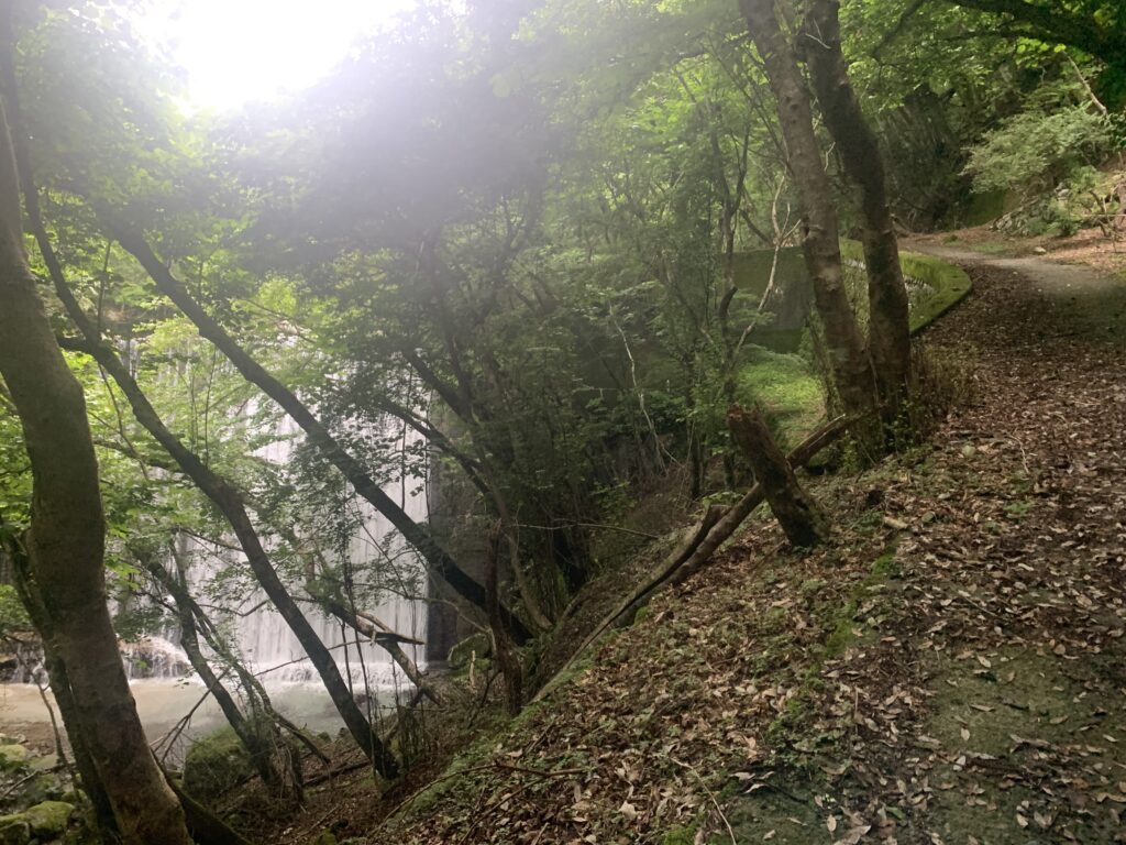 ⑤畦ヶ丸・下山中