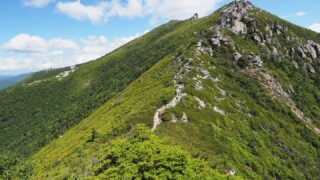 山歩2025-07-08 金峰山、国師岳、北奥千丈岳、甲武信ヶ岳